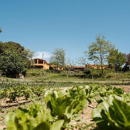 Casa Rural En El Campo Las Dalias ตอร์เดรา ภายนอก รูปภาพ