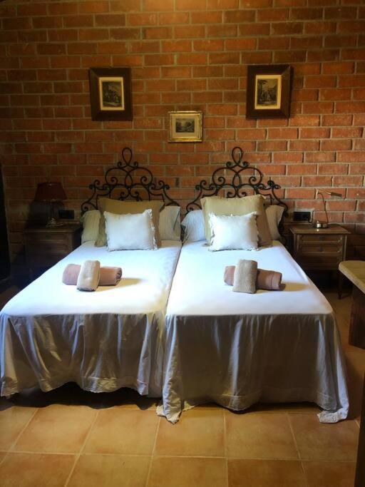 Casa Rural En El Campo Las Dalias ตอร์เดรา ภายนอก รูปภาพ